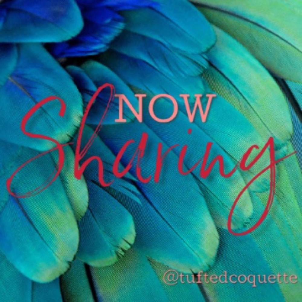 NOW Sharing: Handbags Galore!